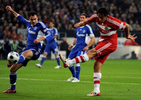 迷對球隊的 迷對球隊的